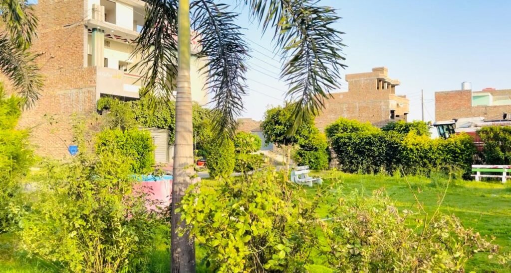 WhatsApp Image 2025-05-16 at 5.23.15 PM (1)